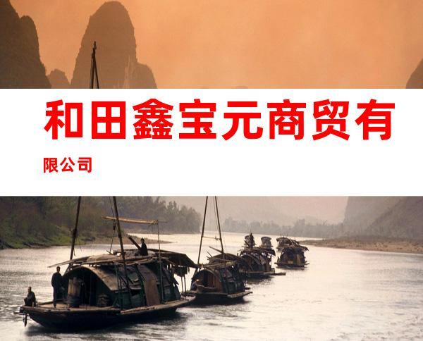 和田鑫宝元商贸有限公司