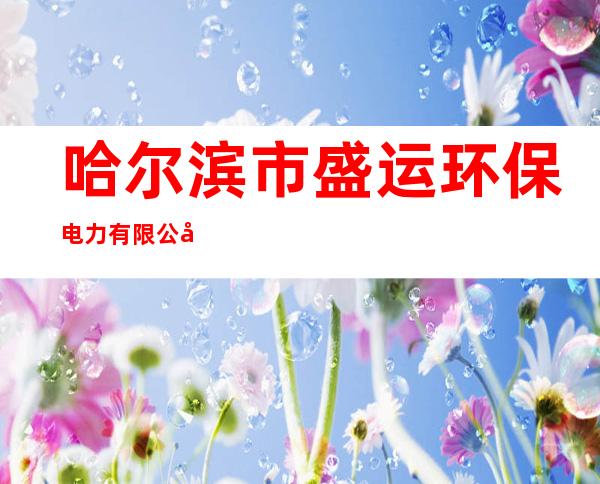 哈尔滨市盛运环保电力有限公司